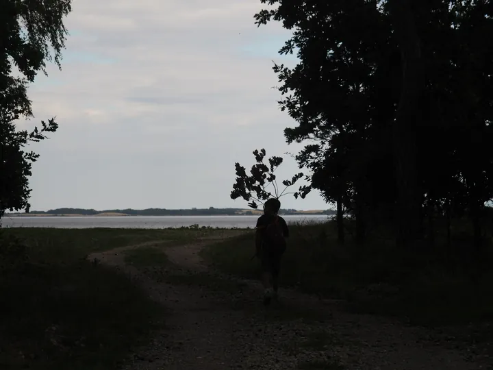 Halshuisene + Enebaerodde Beach (Denemarken)